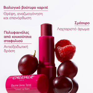 CAUDALIE - Baume Levres Teinte - 4.5gr